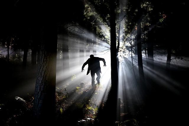 man in forest